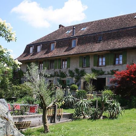 Willa Ofenhaus Murten Zewnętrze zdjęcie