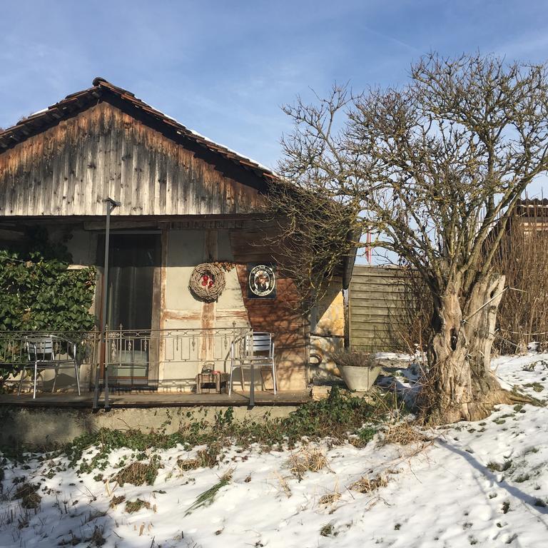 Willa Ofenhaus Murten Zewnętrze zdjęcie